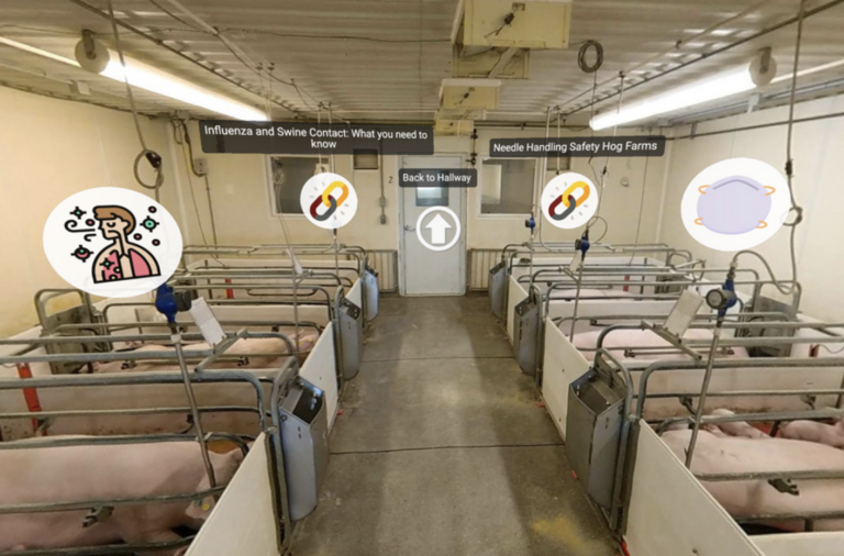 Training Materials for Swine Workers 360 video